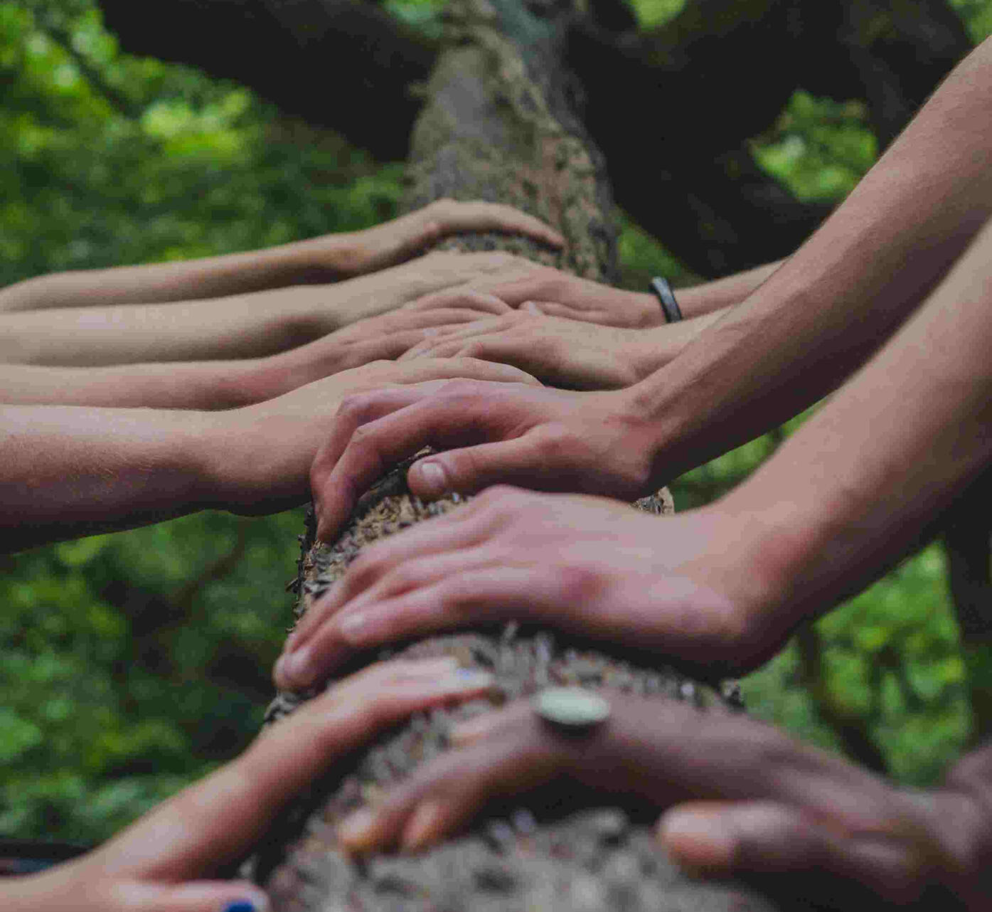 Events Special Occasions Team Building